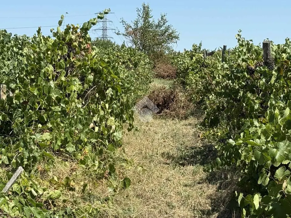 Ipari ingatlan eladó – Dunakeszi