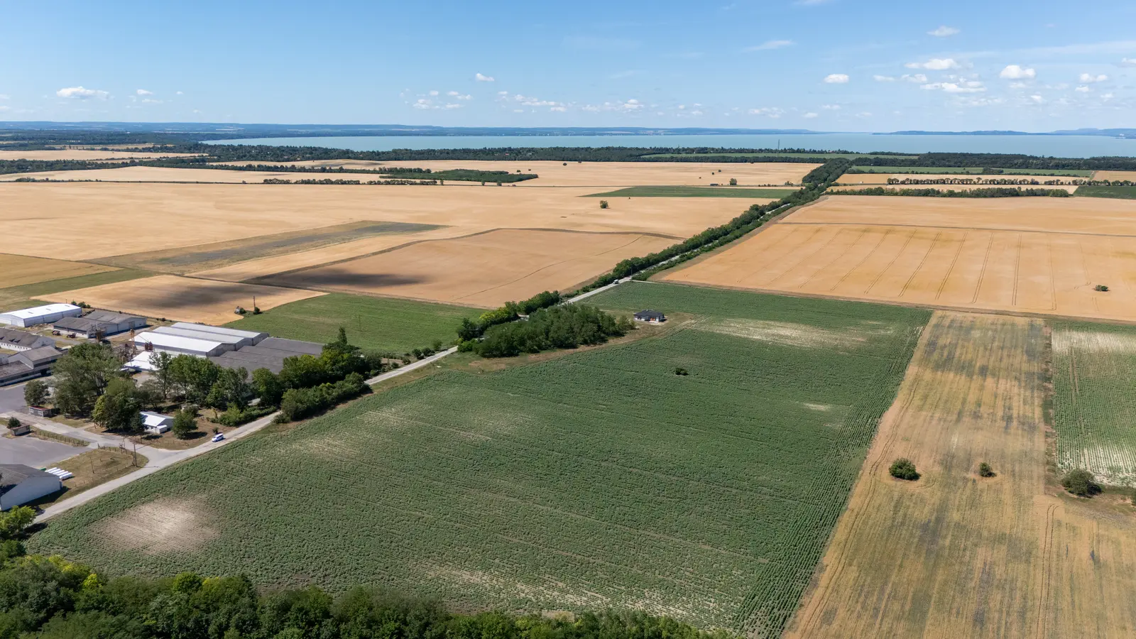 ELADÓ Balaton-közeli, 9,8 hektáros, összközműves ipari-logisztikai fejlesztési terület – Csajág